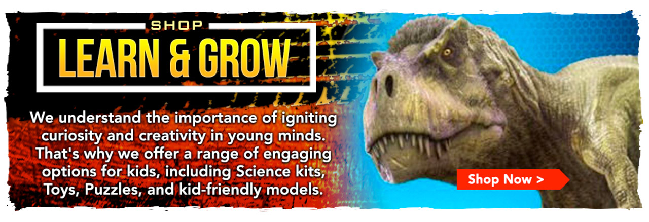 Fuel Young Minds with Our Kids Hobby Collection